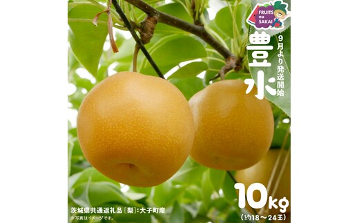 豊水 梨 10kg （18～24玉）【2026年9月より発送開始】（茨城県共通返礼品 [梨]：大子町産） なし 旬 お取り寄せ フルーツ 甘い ジューシー 和梨 時期 [FC06-NT]