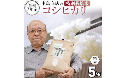 ＜ 新米 ＞ 令和7年産 茨城県産 精米 特別栽培米 コシヒカリ 5kg （5kg×1袋） 白米 こしひかり 米 コメ こめ 単一米 限定 茨城県産 国産 美味しい お米 おこめ おコメ[EH32-NT]