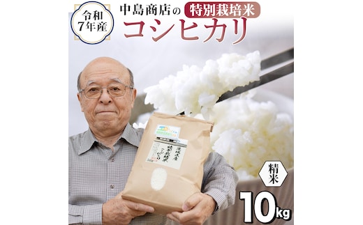 ＜ 新米 ＞ 令和7年産 茨城県産 精米 特別栽培米 コシヒカリ 10kg （5kg×2袋） 白米 こしひかり 米 コメ こめ 単一米 限定 茨城県産 国産 美味しい お米 おこめ おコメ[EH33-NT]