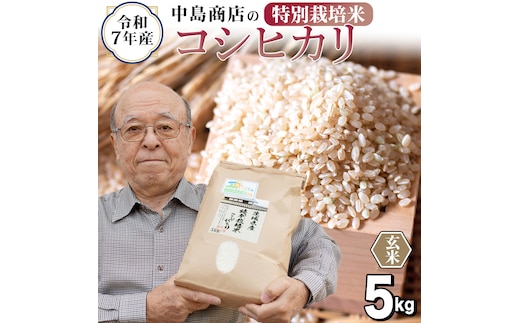 ＜ 新米 ＞ 令和7年産 茨城県産 玄米 特別栽培米 コシヒカリ 5kg （5kg×1袋） こしひかり 米 コメ こめ 単一米 限定 茨城県産 国産 美味しい お米 おこめ おコメ[EH35-NT]