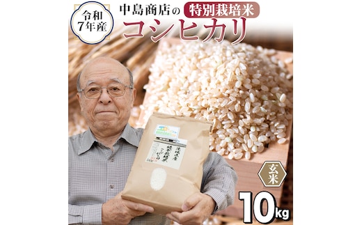 令和7年産 茨城県産 玄米 特別栽培米 コシヒカリ 10kg （5kg×2袋） こしひかり 米 コメ こめ 単一米 限定 茨城県産 国産 美味しい お米 おこめ おコメ[EH36-NT]