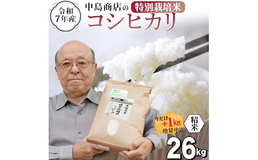 【1kg増量中】 令和7年産 茨城県産 精米 特別栽培米 コシヒカリ 26kg （26kg×1袋） 通常25kgのところ1kg増量中！ 白米 こしひかり 米 コメ こめ 単一米 限定 茨城県産 国産 美味しい お米 おこめ おコメ [EH34-NT]