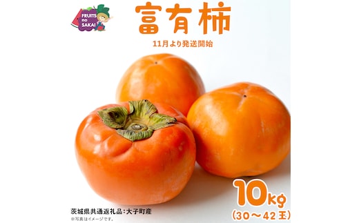 富有柿 10kg （約30～42個）【2025年11月より発送開始】（茨城県共通返礼品 [柿]：大子町産） かき 旬 お取り寄せ フルーツ 甘い 秋の味覚 [FC11-NT]