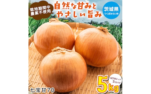 【先行予約】つくばみらい市産たまねぎ 5kg （七宝甘70）保管に便利な 貯蔵 ネット付【2026年5月より発送開始】 タマネギ 国産 茨城県産 甘い 辛くない 旨味 栽培期間中農薬不使用大玉 サラダ スープ 箱売り キロ販売 業務用 大容量 [FH01-NT]