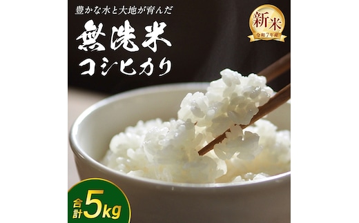 【 無洗米 】令和7年産 新米 コシヒカリ 5kg 茨城県つくばみらい市産 時短 手軽 粘り 甘み 茨城 こしひかり 令和7年 [FF01-NT]