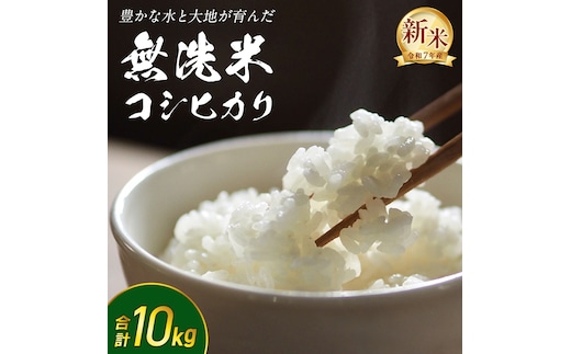 【 無洗米 】令和7年産 新米 コシヒカリ 10kg 茨城県つくばみらい市産 時短 手軽 粘り 甘み 茨城 こしひかり 令和7年 [FF02-NT]