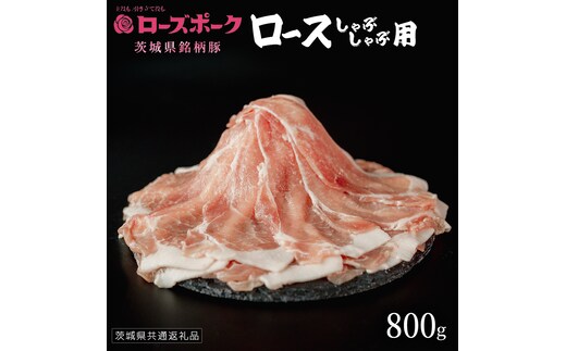【 ローズポーク 】 豚ロースしゃぶしゃぶ用 800g (茨城県共通返礼品) 肉 お肉 豚肉 国産豚 国産 銘柄豚 ブランド豚 豚ロース 鍋 しゃぶしゃぶ [AI23-NT]