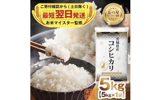 【 最短 翌日発送 】 茨城県産 ミルキークイーン 5kg 五つ星 お米マイスター 監修 みるきーくいーん 国産 こめ コメ 米 精米 すぐ発送 人気 美味しい ランキング ふるさと納税 返礼品[DW28-NT]