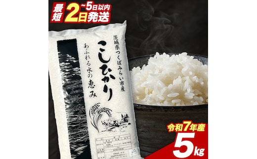 【 最短2日 スピード発送！】 コシヒカリ 5kg 令和7年産精米 【 数量限定 】 茨城県つくばみらい市産 精米 こしひかり コシヒカリ 即納 米 コメ こめ 単一米 限定 茨城県産 国産 美味しい お米 おこめ おコメ [CL267-NT]