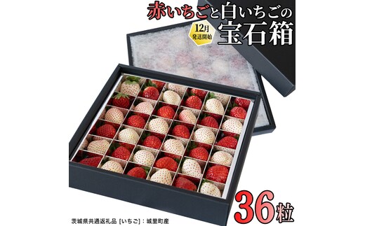 赤白いちごの宝石箱アソート 36粒 【2025年12月から発送開始】（茨城県共通返礼品 [いちご]：城里町産） | いちご 苺 赤 イチゴ 白いちご 白イチゴ 宝石箱 [FC25-NT]