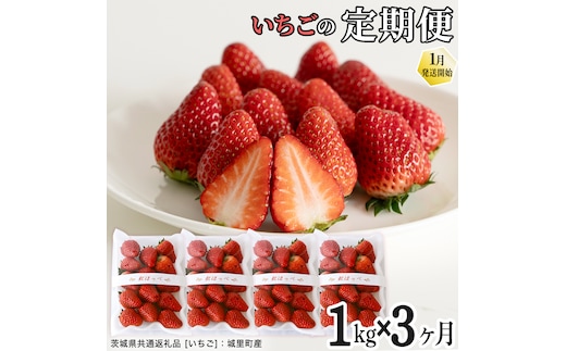 【定期便】いちご3ヶ月連続お届け便 （250g×4パック）×3回 【2027年1月から発送開始】（茨城県共通返礼品 [いちご]：城里町産） | 果物 フルーツ イチゴ 苺 白いちご とちおとめ 紅ほっぺ やよいひめ 定期便 [FC26-NT]