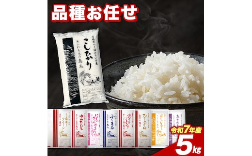 【2月下期出荷】品種おまかせ 5kg 茨城県つくばみらい市産 精米 こしひかり コシヒカリ あきたこまち ひとめぼれ ふくまる ゆめひたち ミルキークイーン にじのきらめき 米 コメ こめ 単一米 限定 茨城県産 国産 美味しい お米 おこめ おコメ [CL247-NT]