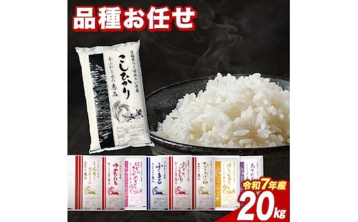 【3月上期出荷】品種おまかせ 20kg 茨城県つくばみらい市産 精米 こしひかり コシヒカリ あきたこまち ひとめぼれ ふくまる ゆめひたち ミルキークイーン にじのきらめき 米 コメ こめ 単一米 限定 茨城県産 国産 美味しい お米 おこめ おコメ [CL277-NT]
