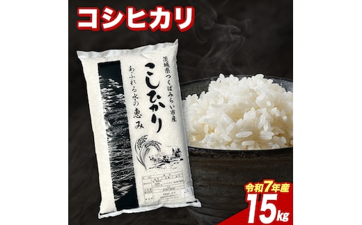【3月下期出荷】 コシヒカリ 15kg 令和7年産精米 【 数量限定 】茨城県つくばみらい市産 米 コメ 単一米 33000 茨城県産 国産 発送 コスパ こしひかり [CL230-NT]