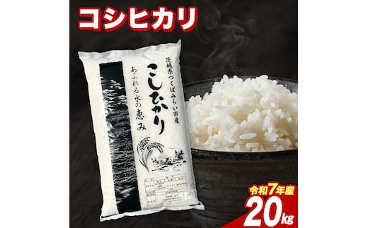 【3月下期出荷】 コシヒカリ 20kg 令和7年産 精米 【 数量限定 】茨城県つくばみらい市産 米 コメ 単一米 44000 茨城県産 国産 発送 コスパ こしひかり [CL231-NT]