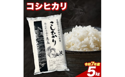【5月下期出荷】 コシヒカリ 5kg 令和7年産精米 【 数量限定 】茨城県つくばみらい市産 米 コメ 単一米 11000 茨城県産 国産 発送 コスパ こしひかり [CL303-NT]