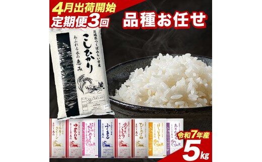 【 定期便（4～6月出荷）】品種おまかせ 5kg ×3回 茨城県つくばみらい市産 令和7年産 精米 こしひかり 米 コメ こめ 単一米 限定 茨城県産 国産 美味しい お米 おこめ おコメ [CL189-NT]