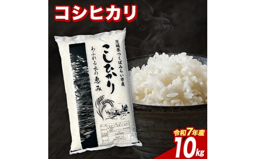 【7月下期出荷】 コシヒカリ 10kg 令和7年産精米 【 数量限定 】茨城県つくばみらい市産 米 コメ 単一米 22000 茨城県産 国産 発送 コスパ こしひかり [CL336-NT]