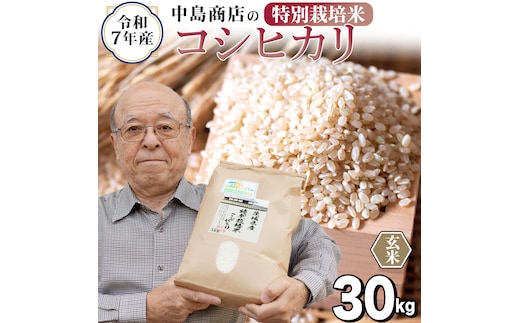 令和7年産 茨城県産 玄米 特別栽培米 コシヒカリ 30kg （30kg×1袋） こしひかり 米 コメ こめ 単一米 限定 茨城県産 国産 美味しい お米 おこめ おコメ 【EH37-NT】