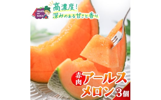 赤肉アールスメロン 3玉 アールスメロン 赤肉 高糖度 甘い フルーツ 誕生日 プレゼント ギフト 贈り物 父の日 母の日 3個 [FC32-NT]