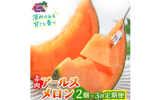 【定期便】 赤肉アールスメロン 2玉 × 3か月連続 赤肉 高糖度 甘い 美味しい フルーツ 誕生日 プレゼント ギフト 贈り物 父の日 母の日 2個 [FC39-NT]