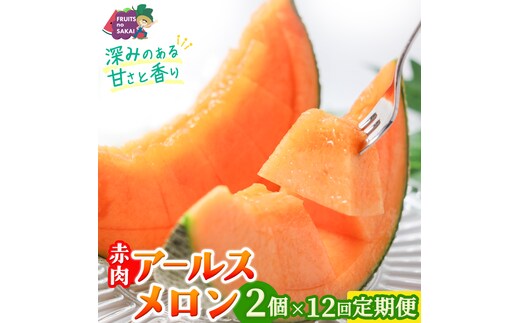 【定期便】 赤肉アールスメロン 2玉 × 12か月連続 赤肉 高糖度 甘い 美味しい フルーツ 誕生日 プレゼント ギフト 贈り物 父の日 母の日 2個 [FC41-NT]