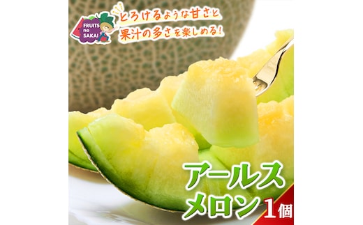 アールスメロン 1玉 メロン ギフト 高糖度 甘い 美味しい フルーツ 誕生日 プレゼント ギフト 贈り物 父の日 母の日 1個 [FC33-NT]
