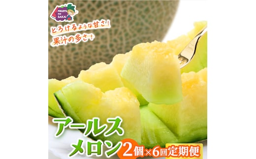 【定期便】 アールスメロン 2玉 × 6か月連続 メロン ギフト 高糖度 甘い 美味しい フルーツ 誕生日 プレゼント ギフト 贈り物 父の日 母の日 2個 [FC49-NT]