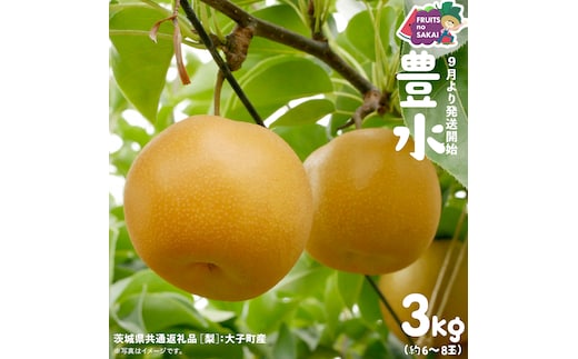 豊水 梨 3kg （6〜8玉）【2026年9月より発送開始】（茨城県共通返礼品 [梨]：大子町産） なし 旬 お取り寄せ フルーツ 甘い ジューシー 和梨 時期 [FC12-NT]