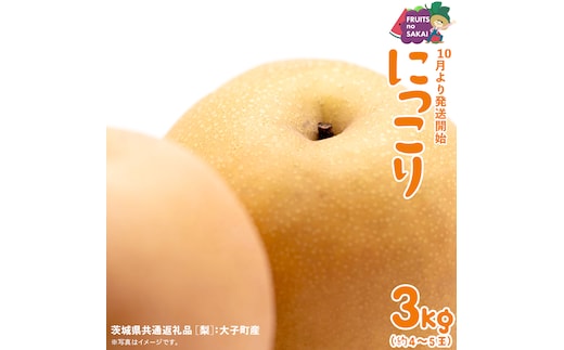 にっこり 梨 3kg （4～5玉）【2026年10月より発送開始】（茨城県共通返礼品 [梨]：大子町産） なし 旬 お取り寄せ フルーツ 甘い ジューシー 和梨 時期 [FC14-NT]