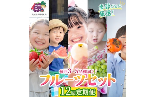 【定期便】フルーツセット（12回定期）（茨城県共通返礼品） 茨城県 県産 つくばみらい市 人気 厳選 果物 くだもの 旬 旬の果物 旬のフルーツ 上級品 極上 贅沢 極み フルーツ フルーツセット ギフト プレゼント