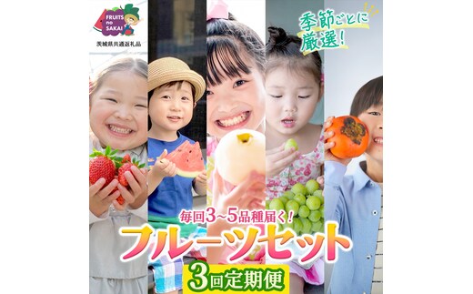 【定期便】フルーツセット（3回定期）（茨城県共通返礼品） 茨城県 県産 つくばみらい市 人気 厳選 果物 くだもの 旬 旬の果物 旬のフルーツ 上級品 極上 贅沢 極み フルーツ フルーツセット ギフト プレゼント
