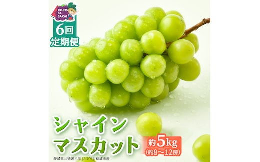 【定期便】6か月連続でお届け！ シャインマスカット 約5kg（約8～12房）【2026年8月から発送開始】（茨城県共通返礼品 [ぶどう]：結城市産） ぶどう ブドウ 葡萄 シャインマスカット 種なし 皮ごと 甘い 高級 ふるさと納税 定期便 6か月 [FC59-NT]