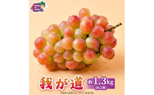 我が道 約1.3kg （約2房）【2026年8月より発送開始】（茨城県共通返礼品 [ぶどう]：結城市産） ぶどう ブドウ 葡萄 我が道 黒ぶどう 皮ごと 高級 国産 ふるさと納税 [FC19-NT]