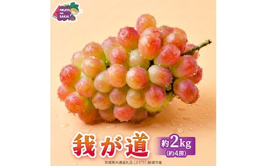 我が道 約2kg （約4房）【2026年8月より発送開始】（茨城県共通返礼品 [ぶどう]：結城市産） ぶどう ブドウ 葡萄 我が道 黒ぶどう 皮ごと 高級 国産 ふるさと納税 [FC20-NT]