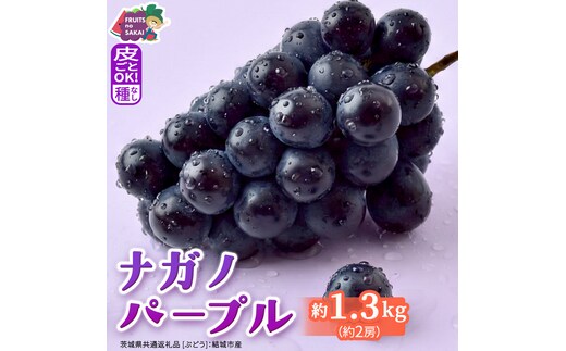ナガノパープル 約1.3kg （約2房）【2026年8月より発送開始】（茨城県共通返礼品 [ぶどう]：結城市産） ぶどう ブドウ 葡萄 ナガノパープル 種なし 皮ごと 高級 国産 黒ぶどう 旬 お取り寄せ フルーツ 希少品種 デザート [FC21-NT]