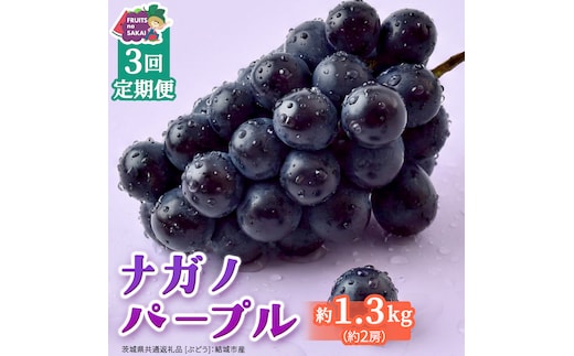 【定期便】3か月連続でお届け！ナガノパープル 約1.3kg （約2房）【2026年8月より発送開始】（茨城県共通返礼品 [ぶどう]：結城市産） ぶどう ブドウ 葡萄 ナガノパープル 種なし 皮ごと 高級 国産 黒ぶどう 旬 お取り寄せ フルーツ 希少品種 デザート [FC60-NT]