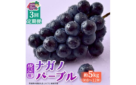 【定期便】3か月連続でお届け！ナガノパープル 約5kg （約8～12房）【2026年8月より発送開始】（茨城県共通返礼品 [ぶどう]：結城市産） ぶどう ブドウ 葡萄 ナガノパープル 種なし 皮ごと 高級 国産 黒ぶどう 旬 お取り寄せ フルーツ 希少品種 デザート [FC62-NT]