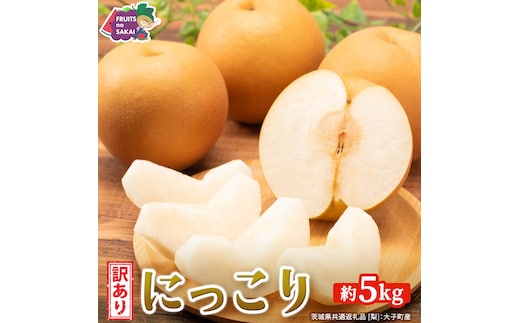 ＜ 訳あり ＞ にっこり 約5kg 【2026年10月より発送開始】（茨城県共通返礼品 [梨]：大子町産） ご家庭用 フルーツ なし ナシ 和梨 梨 わけあり 果実 旬のフルーツ お取り寄せ くだもの 果物 みずみずしい [FC71-NT]