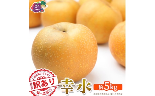 ＜ 訳あり ＞ 幸水 約5kg 【2026年8月より発送開始】（茨城県共通返礼品 [梨]：大子町産） ご家庭用 フルーツ なし ナシ 和梨 梨 わけあり 果実 旬のフルーツ お取り寄せ くだもの 果物 みずみずしい [FC74-NT]