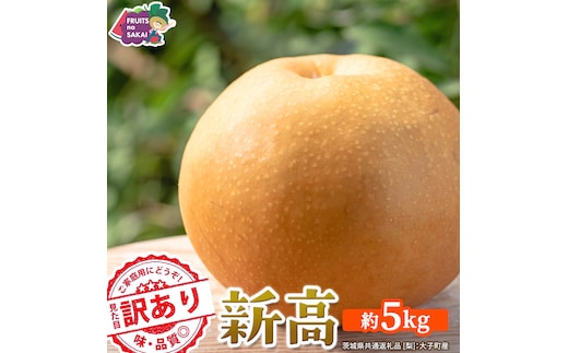 ＜ 訳あり ＞ 新高 約5kg 【2026年10月より発送開始】（茨城県共通返礼品 [梨]：大子町産） ご家庭用 フルーツ なし ナシ 和梨 梨 わけあり 果実 旬のフルーツ お取り寄せ くだもの 果物 みずみずしい [FC77-NT]