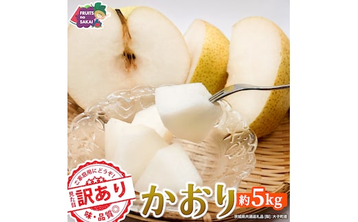＜ 訳あり ＞ かおり 約5kg 【2026年9月より発送開始】（茨城県共通返礼品 [梨]：大子町産） ご家庭用 フルーツ なし ナシ 和梨 梨 わけあり 果実 旬のフルーツ お取り寄せ くだもの 果物 みずみずしい [FC80-NT]