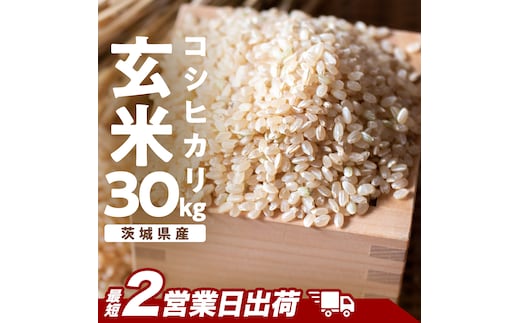 【最短2営業日出荷】 コシヒカリ 玄米 30kg 茨城県 つくばみらい市産スピード発送 お米 米 おこめ こめ コメ 30キロ こしひかり 令和7年産 大容量 玄米食 低GI [DW42-NT-sp]