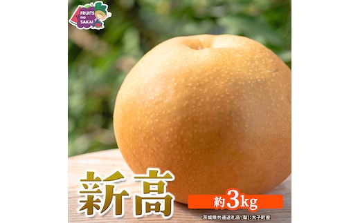 新高 約3kg 【2026年10月より発送開始】（茨城県共通返礼品 [梨]：大子町産） 高糖度 ギフト 贈り物 プレゼント フルーツ なし ナシ 和梨 梨 果実 旬のフルーツ お取り寄せ くだもの 果物 みずみずしい [FC75-NT]