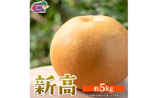 新高 約5kg 【2026年10月より発送開始】（茨城県共通返礼品 [梨]：大子町産） 高糖度 ギフト 贈り物 プレゼント フルーツ なし ナシ 和梨 梨 果実 旬のフルーツ お取り寄せ くだもの 果物 みずみずしい [FC76-NT]
