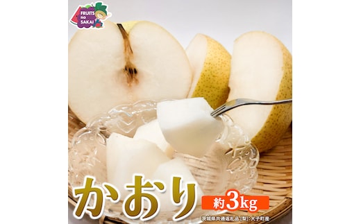 かおり 約3kg 【2026年9月より発送開始】（茨城県共通返礼品 [梨]：大子町産） 高糖度 ギフト 贈り物 プレゼント フルーツ なし ナシ 和梨 梨 果実 旬のフルーツ お取り寄せ くだもの 果物 みずみずしい [FC78-NT]