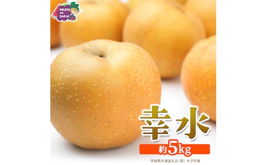 幸水 約5kg【2026年8月より発送開始】（茨城県共通返礼品 [梨]：大子町産） 高糖度 ギフト 贈り物 プレゼント フルーツ なし ナシ 和梨 梨 果実 旬のフルーツ お取り寄せ くだもの 果物 みずみずしい [FC73-NT]