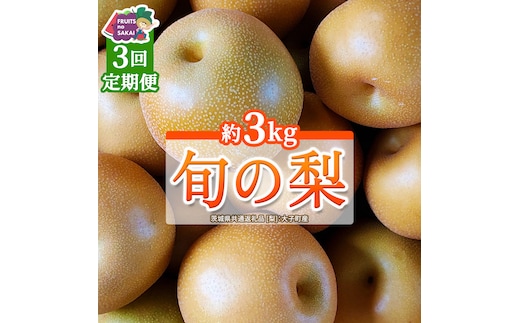 【定期便】3か月連続でお届け！ 旬の梨 おまかせ 約3kg（茨城県共通返礼品 [梨]：大子町産） 高糖度 ギフト 贈り物 プレゼント フルーツ なし ナシ 和梨 梨 果実 旬のフルーツ お取り寄せ くだもの 果物 みずみずしい [FC81-NT]