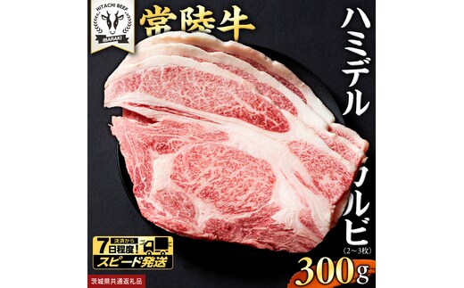 【 スピード発送 】【 常陸牛 】A5 等級 ハミデルカルビ 300g (2～3枚) ひたちぎゅう ブランド牛 カルビ 国産牛 黒毛和牛 和牛 国産黒毛和牛 お肉 A5ランク 高級 BBQ パーティ (茨城県共通返礼品) [BX126-NT-sp]