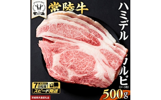 【 スピード発送 】【 常陸牛 】A5 等級 ハミデルカルビ 500g (3～5枚) ひたちぎゅう ブランド牛 カルビ 国産牛 黒毛和牛 和牛 国産黒毛和牛 お肉 A5ランク 高級 BBQ パーティ (茨城県共通返礼品) [BX127-NT-sp]